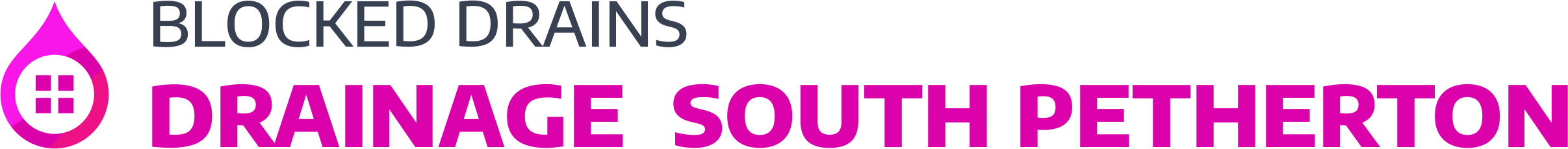 website logo